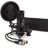 Sontronics STC-20 Condenser Microphone with Accessories