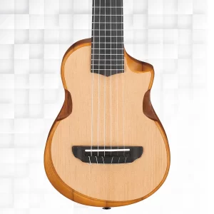 Ibanez AUP10N OPN 6-String Tenor Ukulele - Open Pore Natural