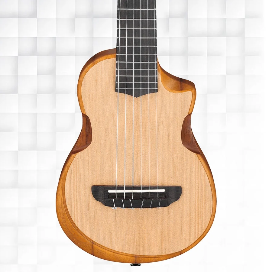 Ibanez AUP10N OPN 6-String Tenor Ukulele - Open Pore Natural