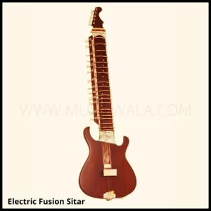 Electric Fusion Sitar 51 Inch 18 Strings