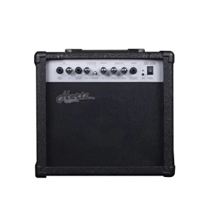 Hertz DG-20W Guitar Amplifier