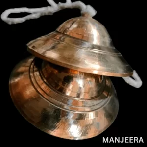 Manjeera Standard