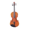 Hertz VP-01 Laminated Linden Violin- 4/4 With Hard Case